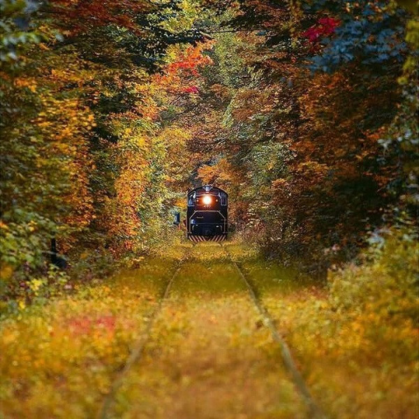 Được xây dựng từ thời chiến tranh nên những hàng cây như lớp bảo vệ, che giấu các hoạt động vận tải quân sự.