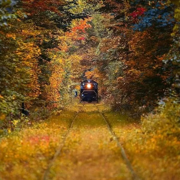 Được xây dựng từ thời chiến tranh nên những hàng cây như lớp bảo vệ, che giấu các hoạt động vận tải quân sự.