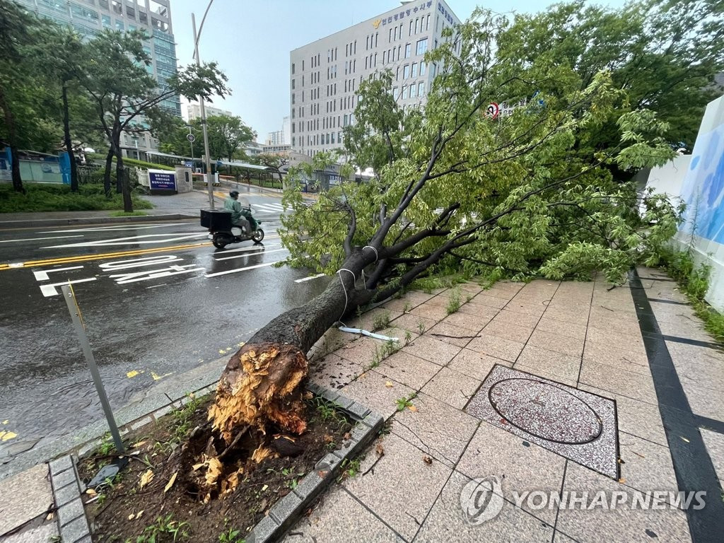 Tính đến 11h sáng 9/8 (giờ địa phương), trận mưa lớn kỷ lục trút xuống Seoul và các khu vực xung quanh đã khiến ít nhất 8 người thiệt mạng, 6 người khác mất tích.