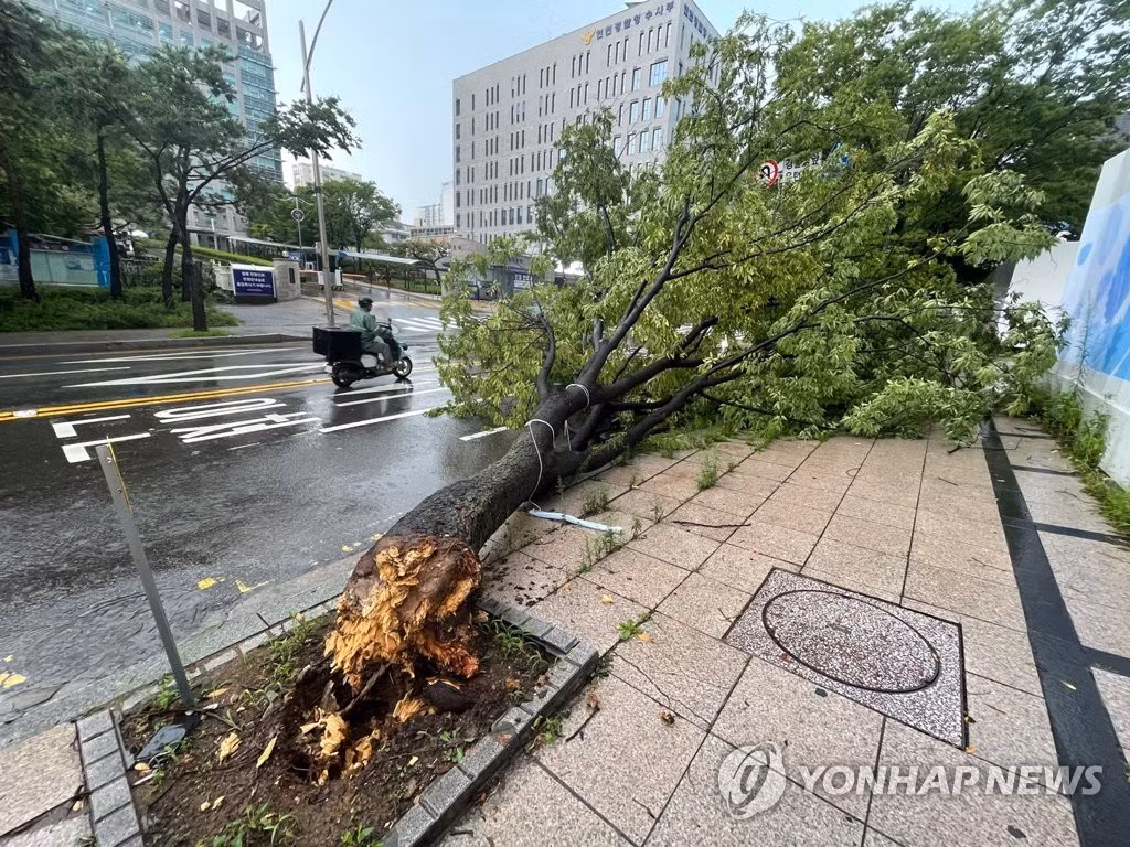 Tính đến 11h sáng 9/8 (giờ địa phương), trận mưa lớn kỷ lục trút xuống Seoul và các khu vực xung quanh đã khiến ít nhất 8 người thiệt mạng, 6 người khác mất tích.
