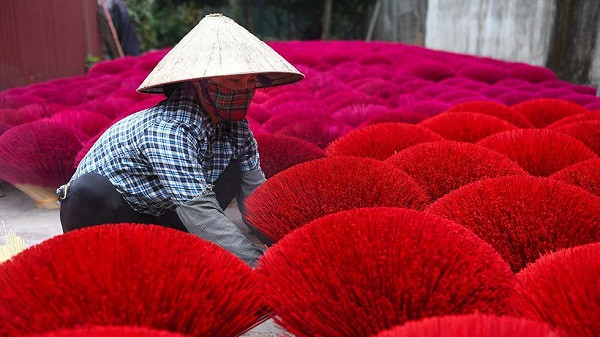 Công nhân tại ngôi làng Quảng Phú Cầu, Việt Nam đang tất bật thu thập những bó chân hương (nhang) phục vụ người dân dịp Tết Nguyên đán.