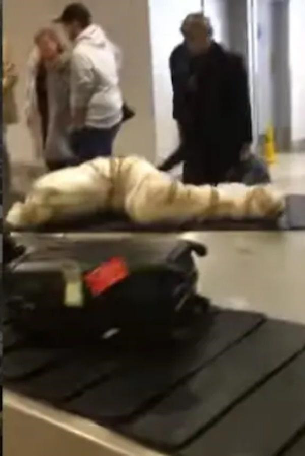 Danh tinh “thi the” nam giua san bay khien ai nay het hon