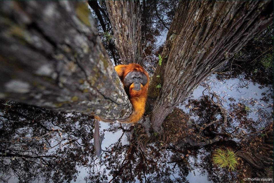 Vị trí tiếp theo thuộc về tác phẩm "How Did You Get There?" (Tạm dịch: Làm sao để đến đó?) của nhiếp ảnh gia Thomas Vijayan đến từ Canada.