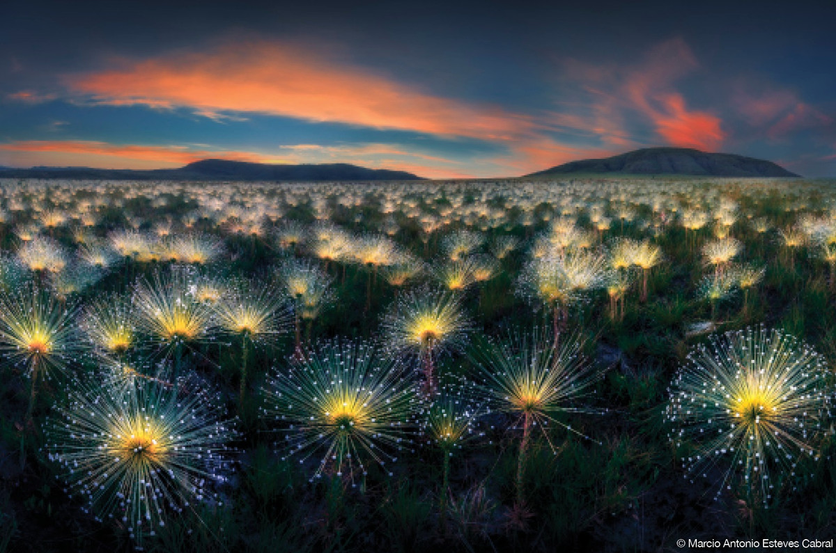 Đứng vị trí thứ hai là tác phẩm "Fireworks" (Tạm dịch: Pháo hoa) của Marcio Antonio Esteves Cabral, nhiếp ảnh gia đến từ Brazil.