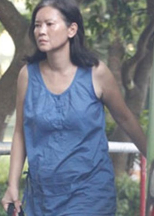 Theo ca sĩ Dương Mạn Lợi - người thân thiết với Lam Khiết Anh, trước khi qua đời, Lam Khiết Anh luôn muốn trở lại làng giải trí đồng thời khẳng định cô không hề mắc bệnh tâm thần, chỉ là bị hại mà thôi.