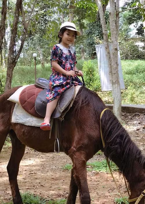 Mai Phương còn đưa bé Lavie đi cưỡi ngựa.