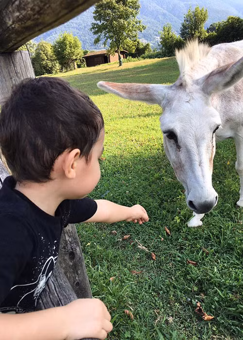 Cậu nhóc thường xuyên được bố mẹ đưa đi du lịch.
