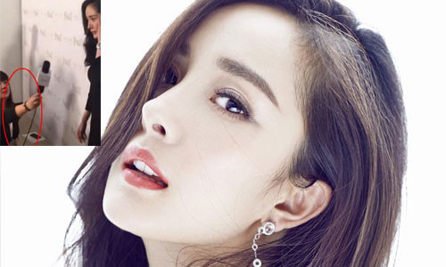 Tan Lam va Duong Mich, sao ke bi 