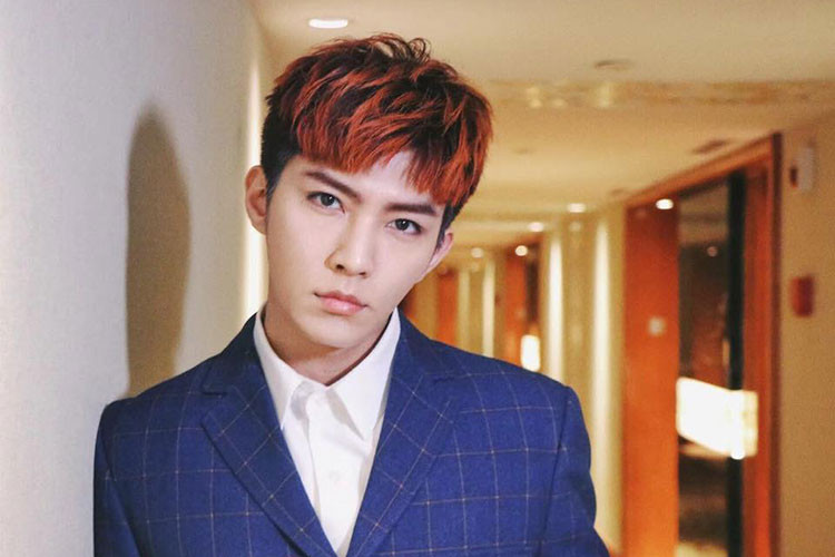 Viêm Á Luân sở hữu vẻ ngoài điển trai. Được biết, nam ca sĩ xứ Đài từng dao kéo gương mặt.