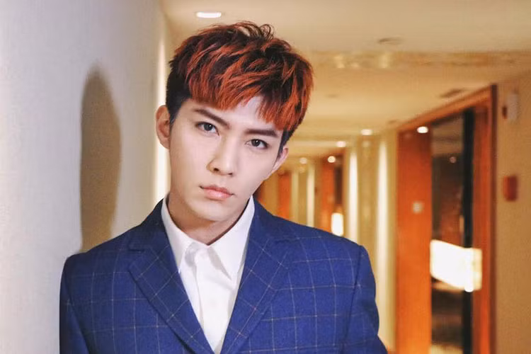 Viêm Á Luân sở hữu vẻ ngoài điển trai. Được biết, nam ca sĩ xứ Đài từng dao kéo gương mặt.