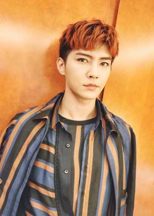 Nam ca sĩ Viêm Á Luân sinh năm 1985, là cựu thành viên của nhóm nhạc Phi Luân Hải. Khi còn hoạt động, nhóm gồm: Viêm Á Luân, Uông Đông Thành, Thần Diệc Nho và Ngô Tôn.