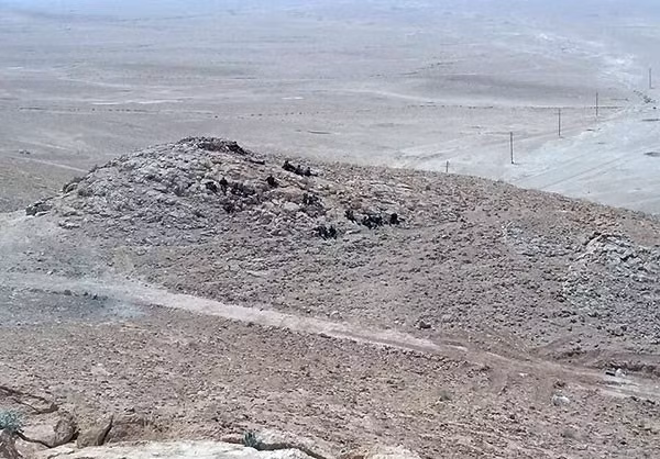 Gần đây, quân chính phủ Syria tiến hành điều động binh sỹ di chuyển dọc theo tuyến đường Palmyra đổ về al-Sukhnah và hướng đến Deir ez Zor để phá vòng vây của IS lên thành phố này và một căn cứ không quân.