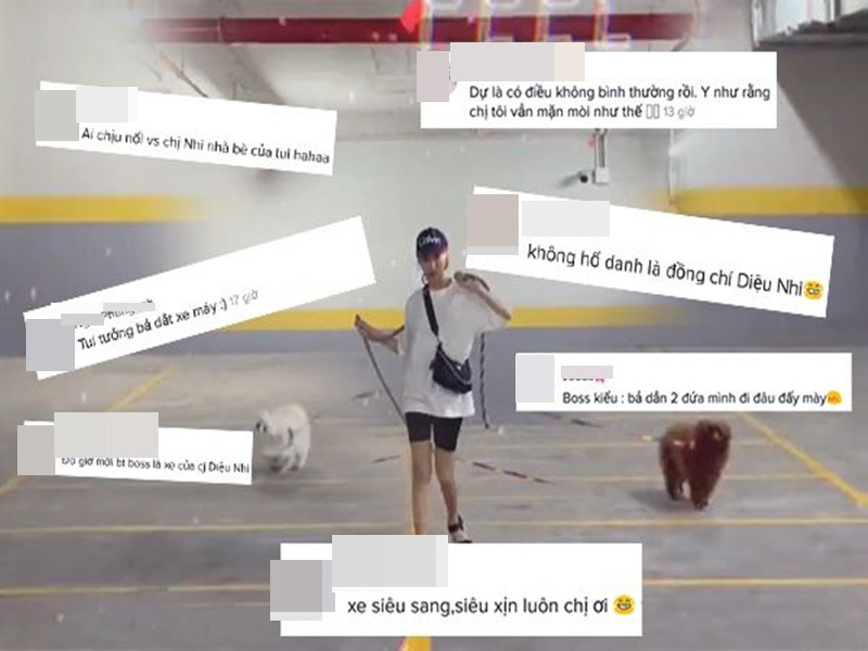 Thay vì siêu xe, Diệu Nhi mang vào clip hai chú cún cưng. Ảnh: Viez
