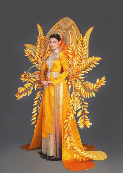 Mới đây, Trân Đài hé lộ trang phục dân tộc mang đến cuộc thi. Bộ trang phục có tên "Kim Thực" được lấy ý tưởng từ cây lúa, con cò, chim hạc và Mặt Trời. Thiết kế tái hiện cánh đồng lúa Ninh Bình và non sông Việt Nam, tất cả đều được nằm gọn trong một tép lúa vàng.