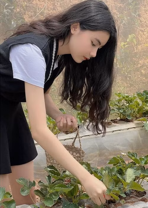 Cuộc sống của con gái Quyền Linh khá bình dị.