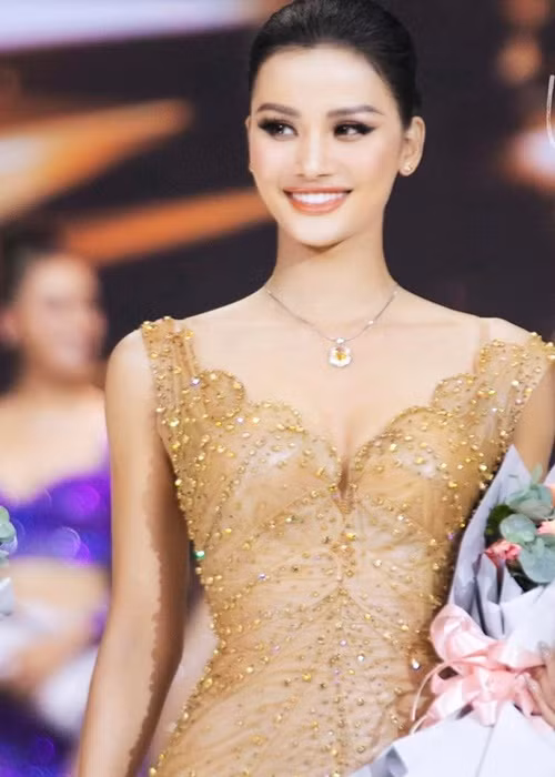 Quán quân Vietnam’s Next Top Model 2015 Hương Ly thử sức ở Hoa hậu Hoàn vũ Việt Nam 2 lần (năm 2019 và 2022) và đều chỉ lọt top 5. Ảnh: FBNV