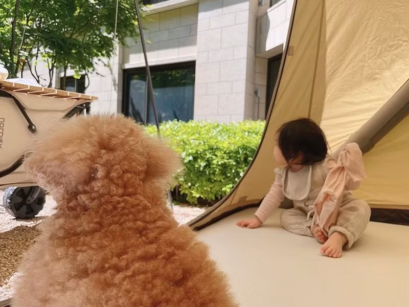 Trên trang cá nhân, Choi Ji Woo khoe không ít hình ảnh thiên thần nhỏ của mình. Ảnh: Instagram