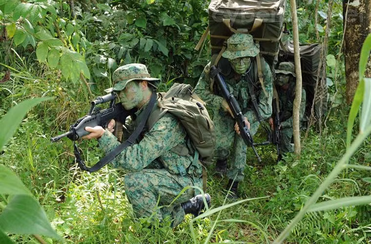 Lục quân Singapore là thành phần lớn nhất trong lực lượng vũ trang SAF, với số quân 72.000 người thường trực. Trang bị vũ khí của lục quân đều thuộc hàng hiện đại trên thế giới, chủ yếu nhập khẩu từ Mỹ, Pháp, Anh, Israel và một phần do Singapore tự sản xuất.