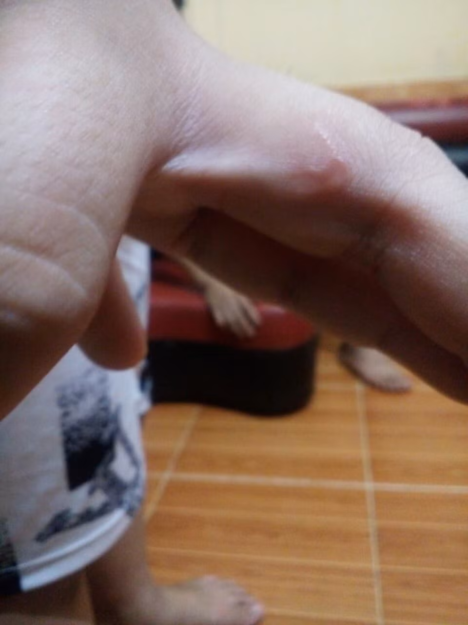 Phu Tho: Bo cung di ghe bao hanh con trai tan bao-Hinh-3