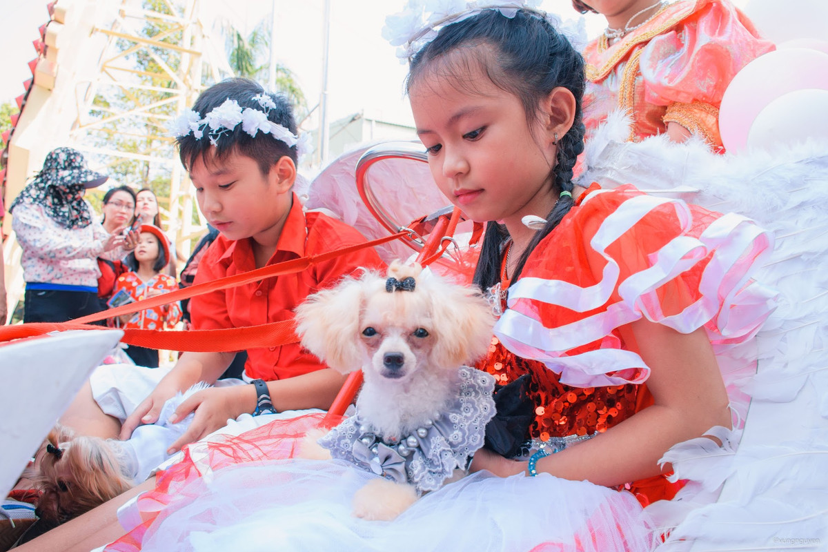 Le hoi cun cung 2019 tai Sai Gon quy tu hang tram chu cho dep-Hinh-4