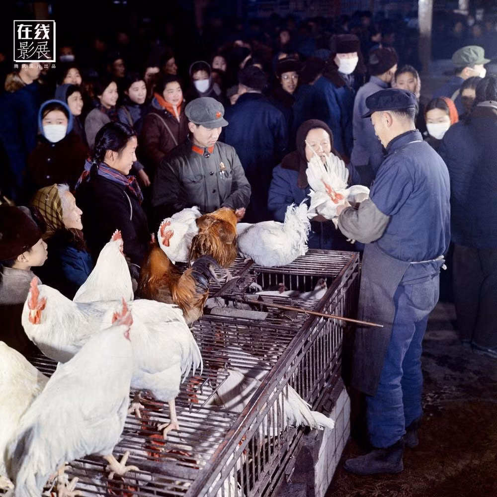 Người dân ra chợ Dongdan vào ngày 30 Tết để mua gà vịt. Ảnh QQ