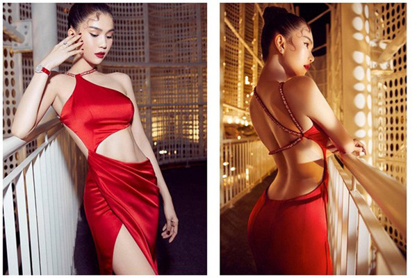 Có thể nói, Ngọc Trinh khá thành công trong việc khẳng định phong cách thời trang của bản thân. Cô luôn chú ý đến sự hài hòa của trang phục (kiểu dáng, màu sắc, chất liệu) với vóc dáng của mình.