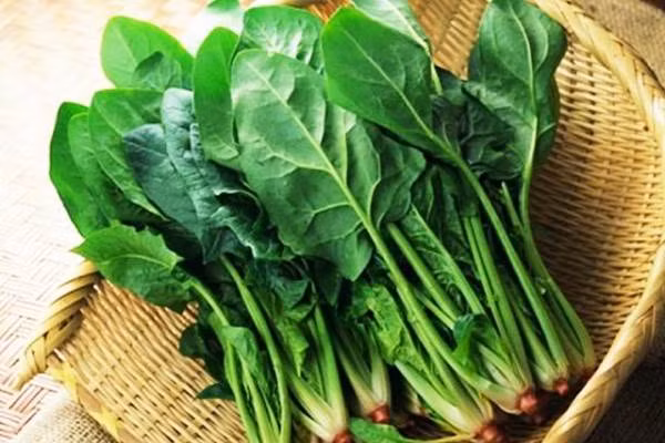 3. Cải bó xôi. Cải bó xôi khá phổ biến trong các siêu thị. Chúng có thể chế biến bằng nhiều cách như nấu súp, nguyên liệu làm bánh... Thực tế, cải bó xôi có giá trị dinh dưỡng rất cao. Vậy nhưng, bạn không nên ăn loại rau này quá thường xuyên.