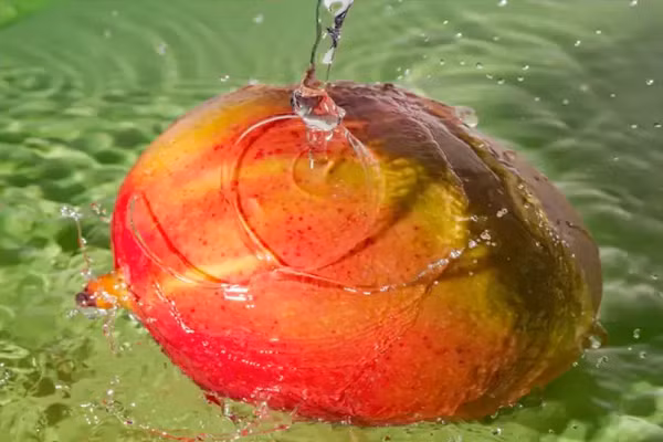 Kinh ngac ly do nen ngam xoai trong nuoc truoc khi an