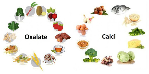 Chế độ ăn nhiều oxalat. Axit oxalic có mặt trong nhiều thực phẩm phổ biến như rau muống, cà chua, khoai tây... Trường hợp bình thường, cơ thể sẽ chuyển hóa axit oxalic không gây hại. Trong khi đó, nạp lượng lớn sẽ gây tích tụ axit oxalic. Theo thời gian, chất này chuyển hóa thành canxi oxalat ở thận và nước tiểu.