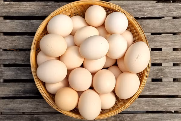 Điều tồi tệ hơn, một số trường hợp thực sự thả vườn con vật song lại áp dụng các hành động khủng khiếp khác như cắt mỏ, bỏ đói để thay đổi chu kỳ sinh nở của chúng.