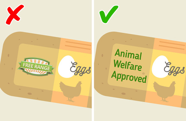  Gà “thả vườn”. Nhiều người ưa thích thịt, trứng từ động vật nuôi theo phương pháp “thả vườn”. Tuy nhiên, mác sản phẩm này không có ý nghĩa trong việc quy định chất lượng thực phẩm, buộc người nông dân không được nuôi nhốt động vật.