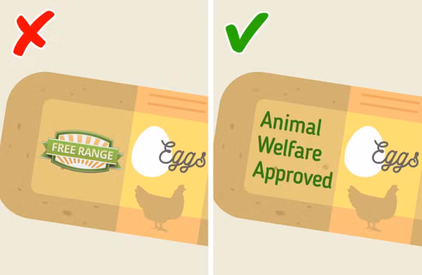  Gà “thả vườn”. Nhiều người ưa thích thịt, trứng từ động vật nuôi theo phương pháp “thả vườn”. Tuy nhiên, mác sản phẩm này không có ý nghĩa trong việc quy định chất lượng thực phẩm, buộc người nông dân không được nuôi nhốt động vật.