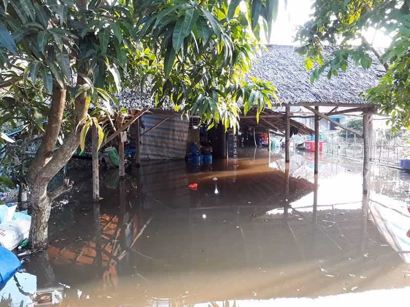 Dong bang song Cuu Long: Trieu cuong cao bat ngo, nhieu noi vo de-Hinh-4