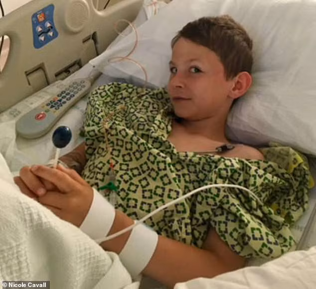 Các bác sĩ cho chụp scan và phát hiện ra một trong những động mạch não chính trong não bộ của cậu bé bị tắc, gây ra đột quỵ.