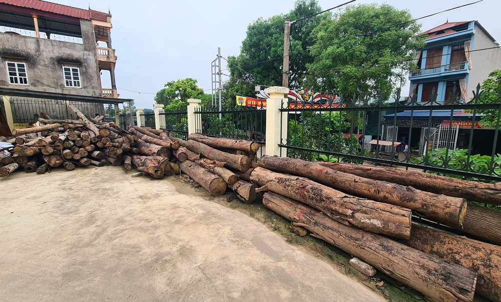 Bắc Giang: Rừng tự nhiên do Công ty Trường Lộc quản lý… bị tàn phá? - BÀI 1 - Hình 5 Bac Giang: Rung tu nhien do Cong ty Truong Loc quan ly… bi tan pha? - BAI 1-Hinh-5