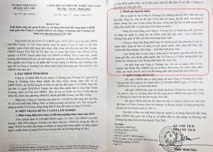 Rung tu nhien do Cong ty Truong Loc quan ly bi tan pha: Ai chiu trach nhiem? - BAI 2