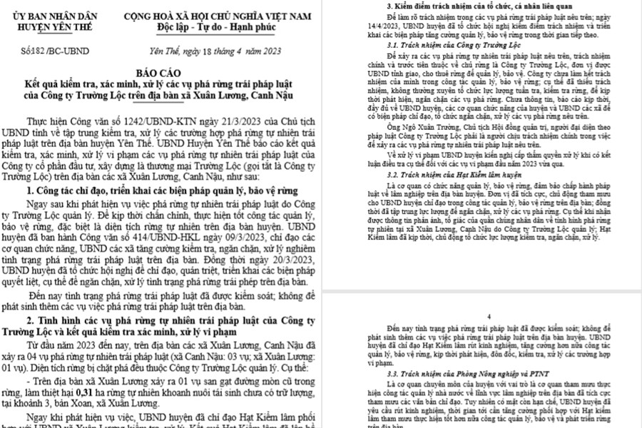 Rung tu nhien do Cong ty Truong Loc quan ly bi tan pha: Ai chiu trach nhiem? - BAI 2-Hinh-2