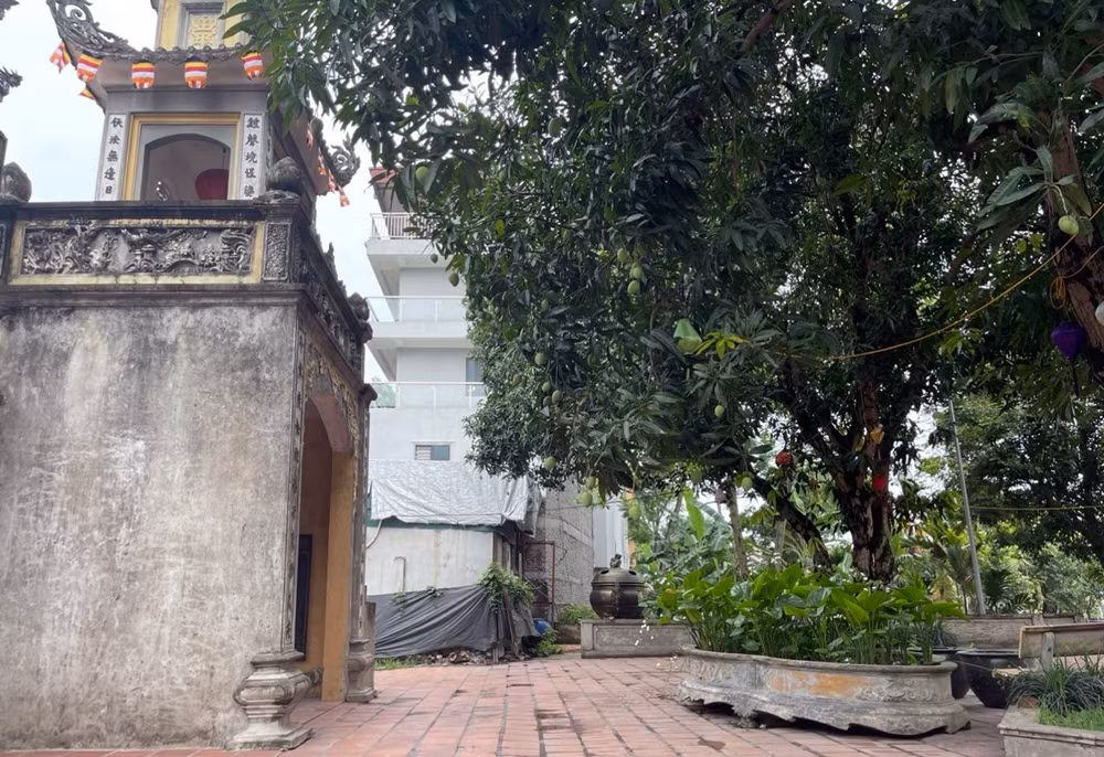 Thậm chí hộ gia đình này còn có dấu hiệu mở rộng diện tích đất lấn chiếm khuôn viên chùa Linh Thông khiến người dân địa phương, cùng các phật tử vô cùng bức xúc.