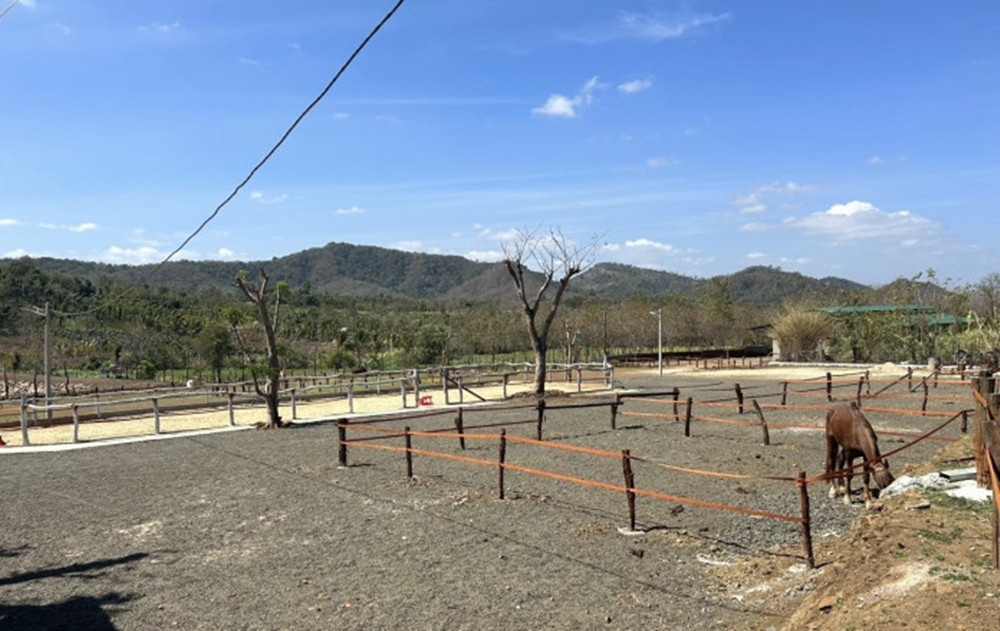 Đi sâu về phía cuối khu đất, có các chuồng nuôi ngựa nhưng chỉ có vài con. (Ảnh: Giao thông).