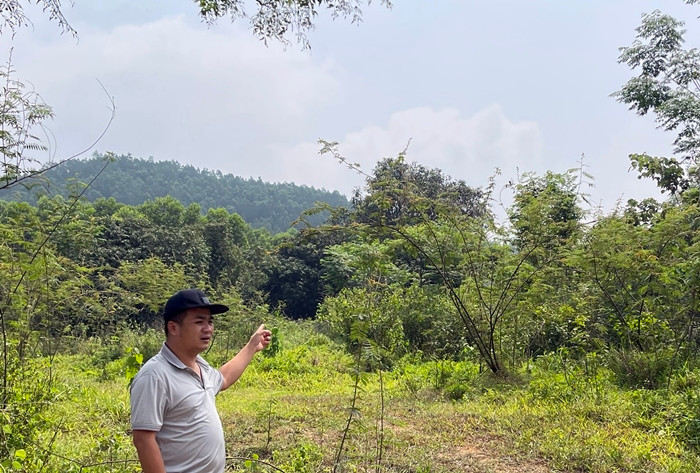 Vinh Phuc: Sap bay “tin dung den”, nhieu nguoi dan dieu dung-Hinh-2