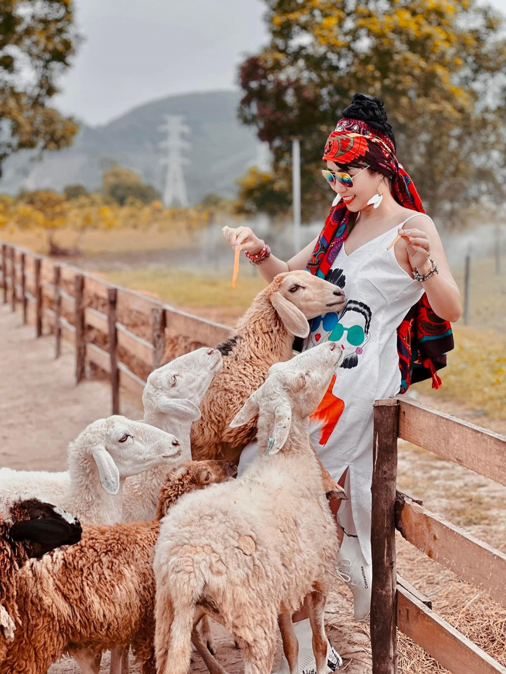 Theo UBND phường Hương Vân, khu đất được Công ty 9000 triển khai mô hình du lịch cộng đồng CFarm Huế có diện tích 2 ha, được nhà nước giao cho ông Hà Văn Ty sử dụng từ năm 2012 qua hình thức cho thuê đất trả tiền hằng năm với mục đích làm trang trại, chăn nuôi trong thời hạn 18 năm. (Ảnh: Facebook).