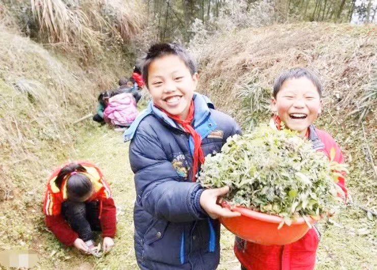 Rau “cuu doi” tu que len pho ma doi doi-Hinh-3