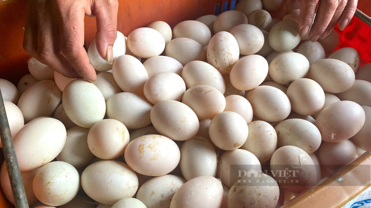 Bien vung doi kho can soi da thanh trang trai tien ty-Hinh-3