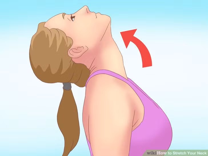 Người béo mà cổ cao thì làm ăn không thuận lợi. Dù họ làm việc rất chăm chỉ nhưng kết quả không thu được nhiều.