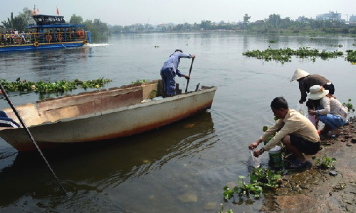 Ngang nhien chich dien, giang luoi bat ca chep phong sinh