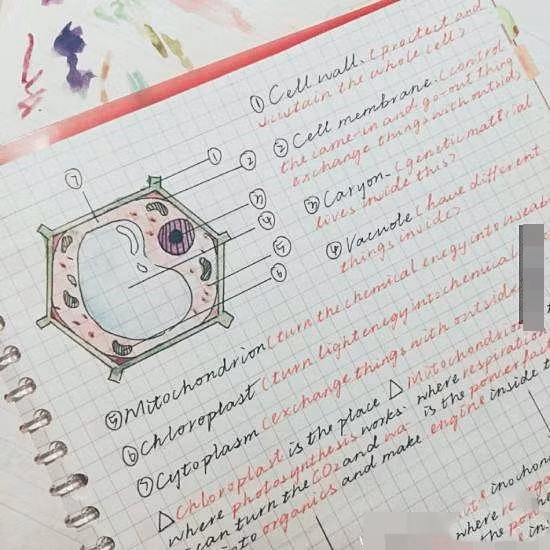 Người bạn của Madame Tú đã chia sẻ những bức ảnh cậu nhận được lên mạng xã hội Weibo và rất nhiều học sinh, sinh viên đã thể hiện sự ngạc nhiên, thậm chí là sốc nặng sau đó. Madame Tú ghi chép bài rất cẩn thận, không bỏ sót một chữ nào. Các đề mục được phân chia trình tự, rất khoa học. Các phần đáng chú ý đều được làm nổi bật bằng bút đỏ, chưa kể đến các trang vở đều trắng, sạch, các dòng chữ luôn đều tăm tắp trông vô cùng thích mắt.