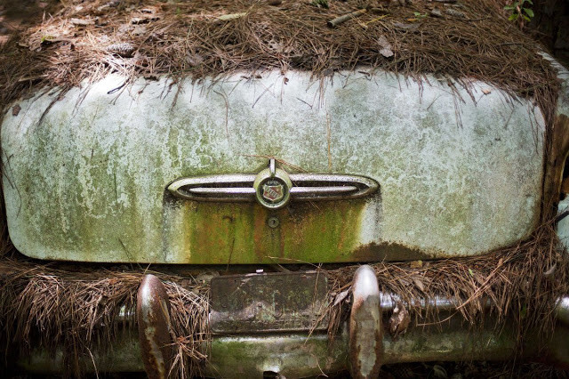 Dean Lewis là ông chủ của Old Car City. Trong suốt nhiều năm, ông mua rất nhiều xe cũ kỹ, xe phế liệu để thực hiện kinh doanh.