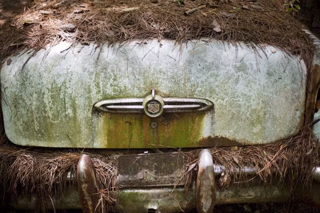 Dean Lewis là ông chủ của Old Car City. Trong suốt nhiều năm, ông mua rất nhiều xe cũ kỹ, xe phế liệu để thực hiện kinh doanh.