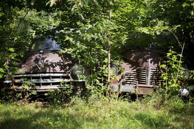 Biệt danh này xuất phát từ việc bãi xe ô tô phế thải Old Car City có hơn 4.000 ô tô cũ nằm rải rác trên diện tích gần 140.000 m2 rừng.