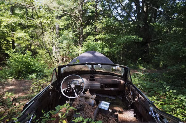 Một số thương hiệu ô tô nổi tiếng thế giới như: Fords, Cadillacs, thậm chí xe tải Mack 1941 hiếm có cũng "yên nghỉ" ở "nghĩa địa" đặc biệt này.